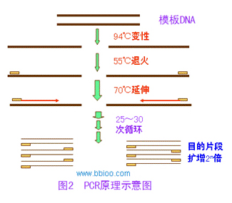 中国·99905银河(股份)有限公司-官方网站