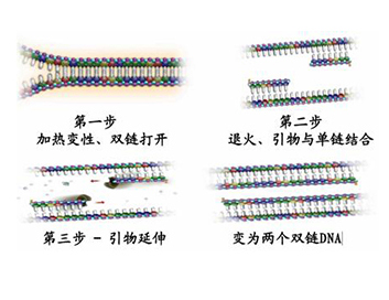 中国·99905银河(股份)有限公司-官方网站