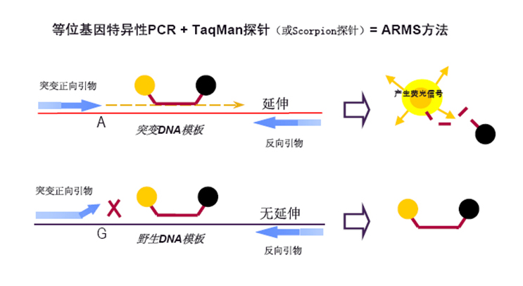 中国·99905银河(股份)有限公司-官方网站